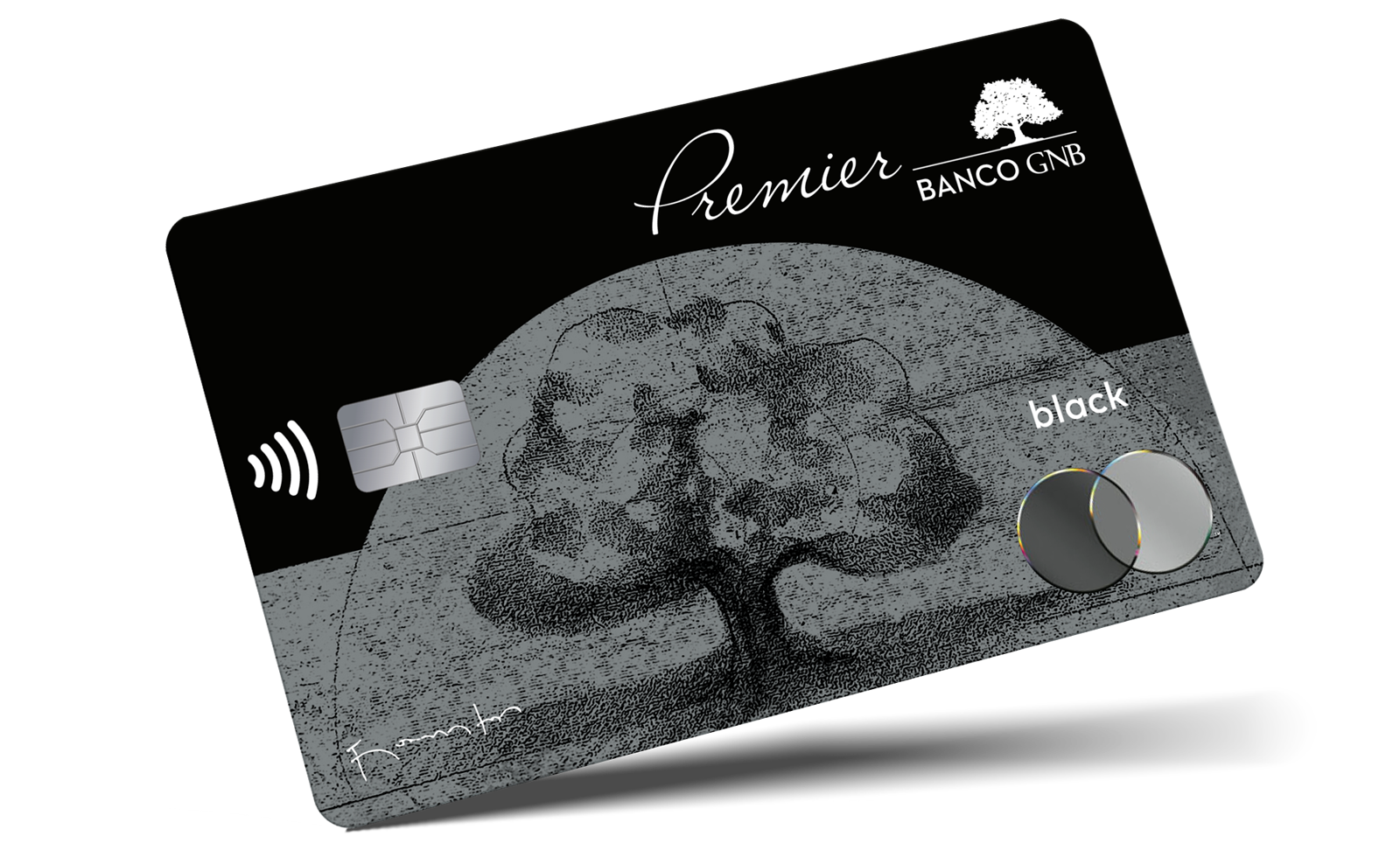 Tarjeta Premier Metalcard