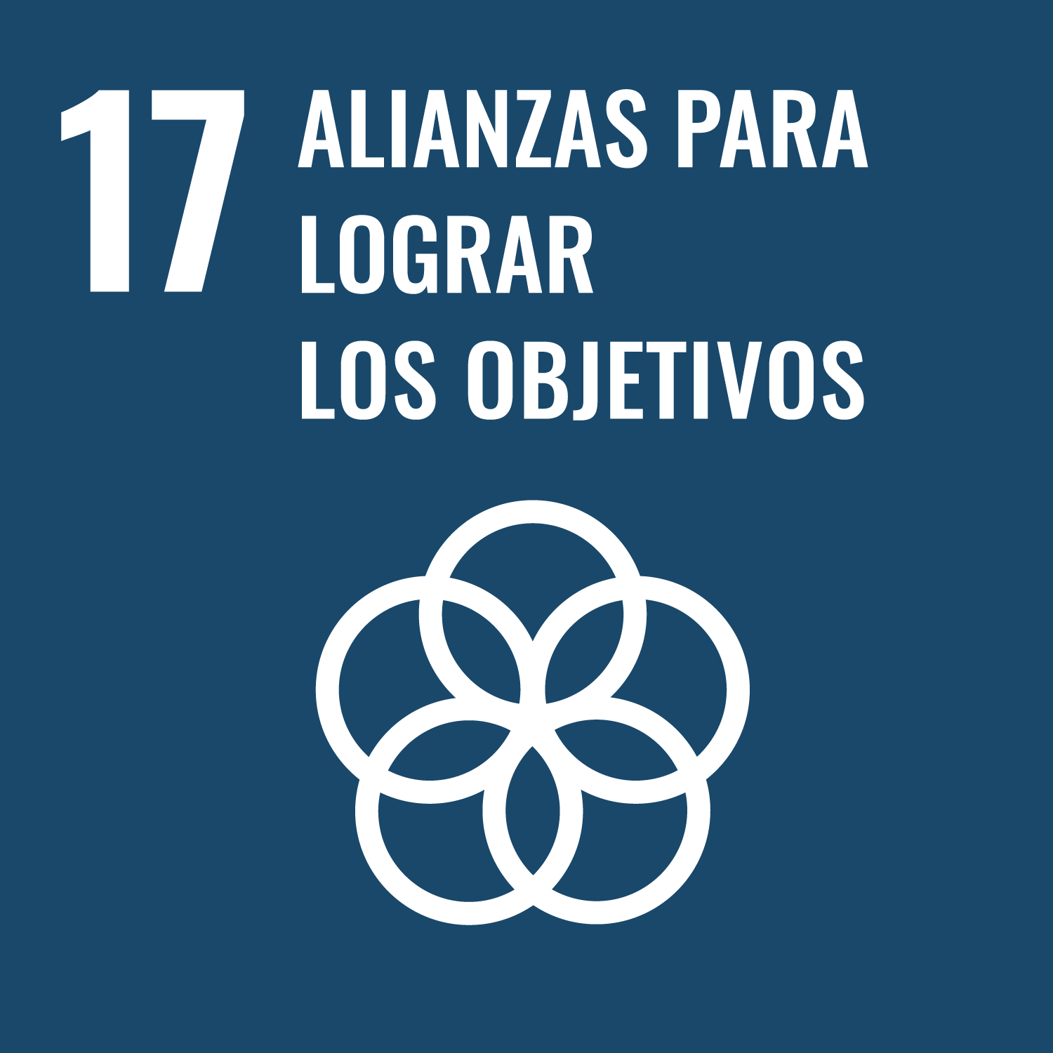 ODS Goal 17